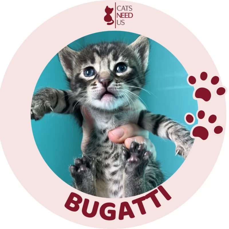 BUGATTI