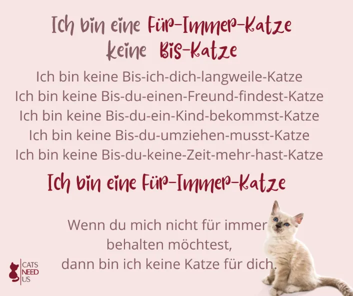 FUER IMMER KATZE