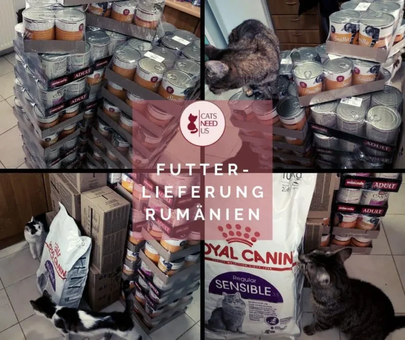 Futter Rumänien