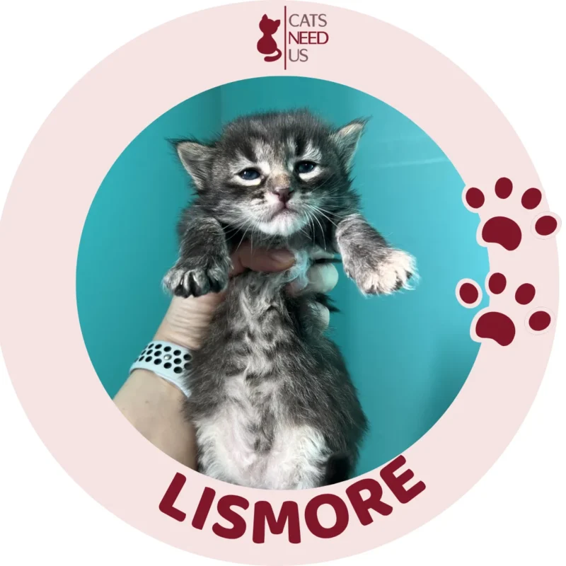 LISMORE