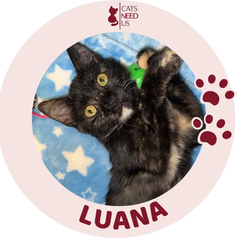 LUANA