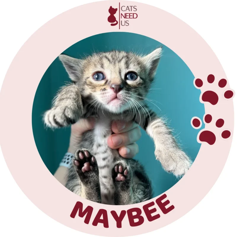 MAYBEE