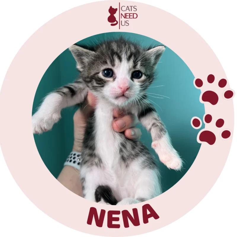 NENA