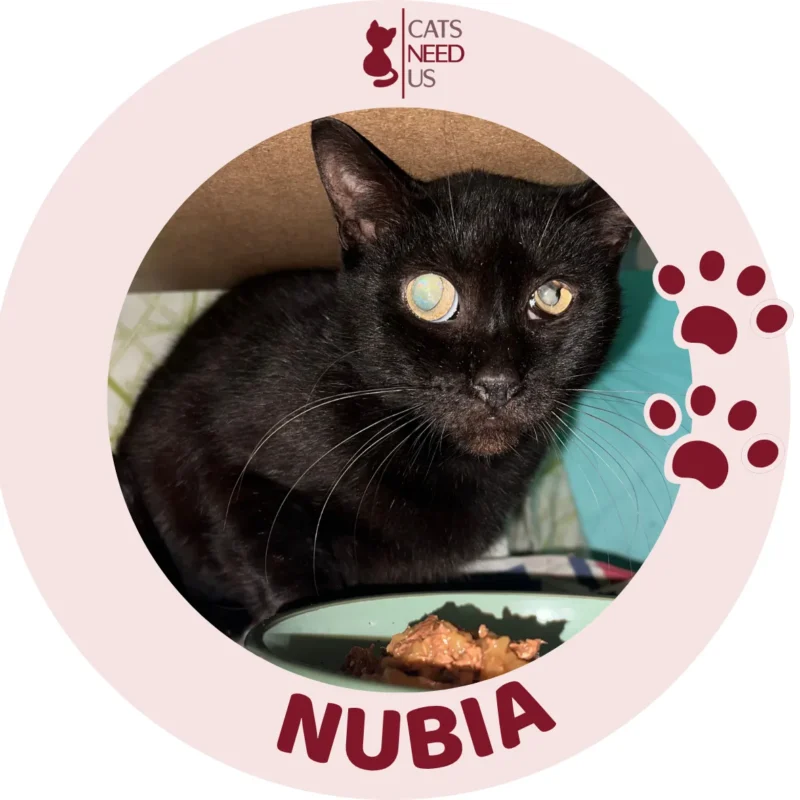 NUBIA