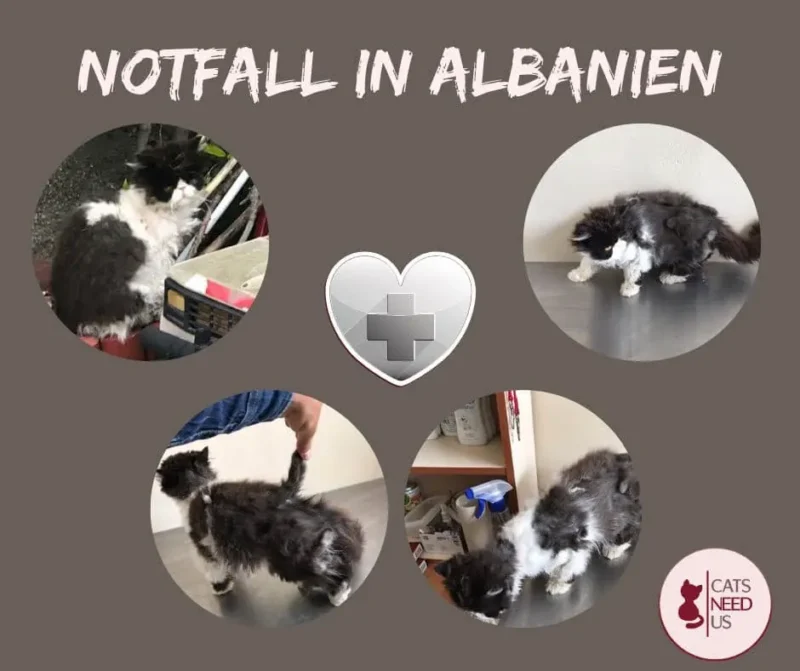Notfall