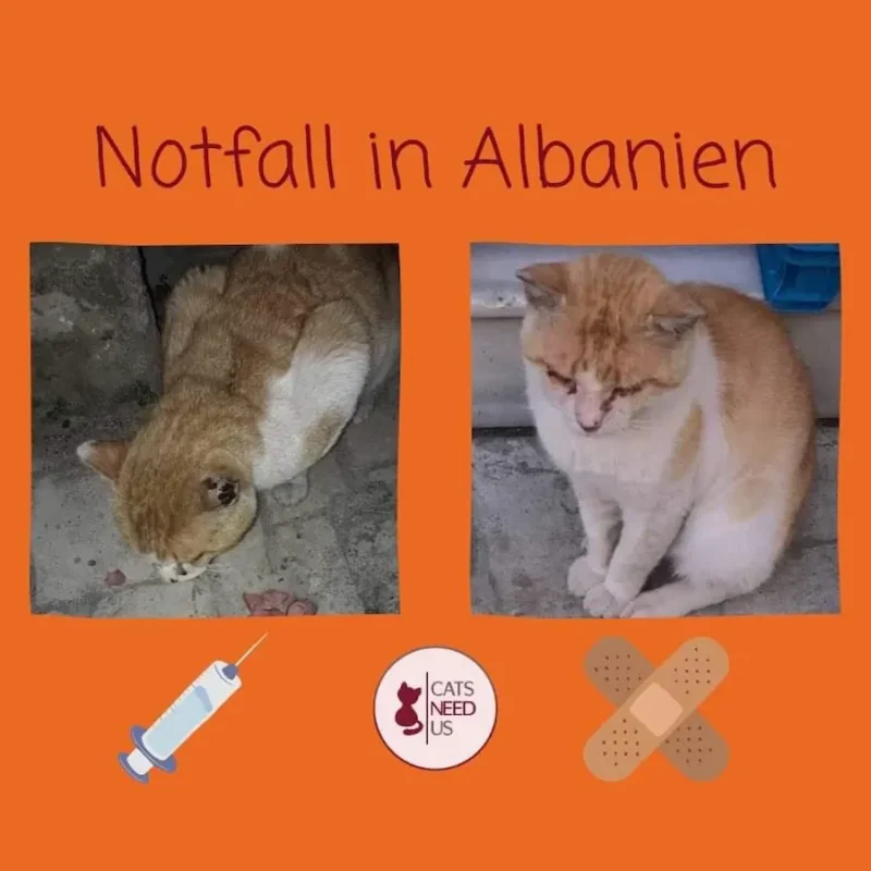 Notfall Albanien