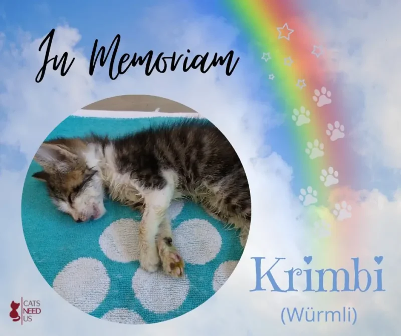 Krimbi Wuermli