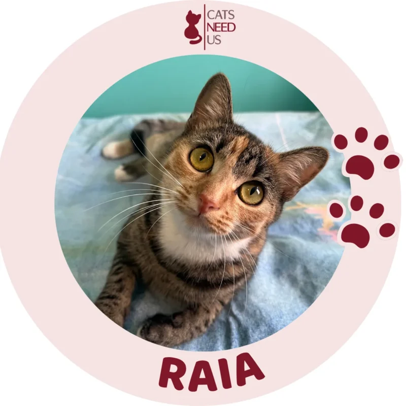 RAIA