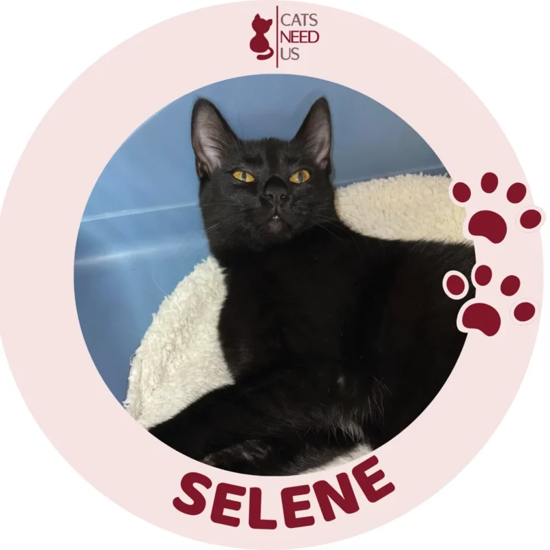 SELENE