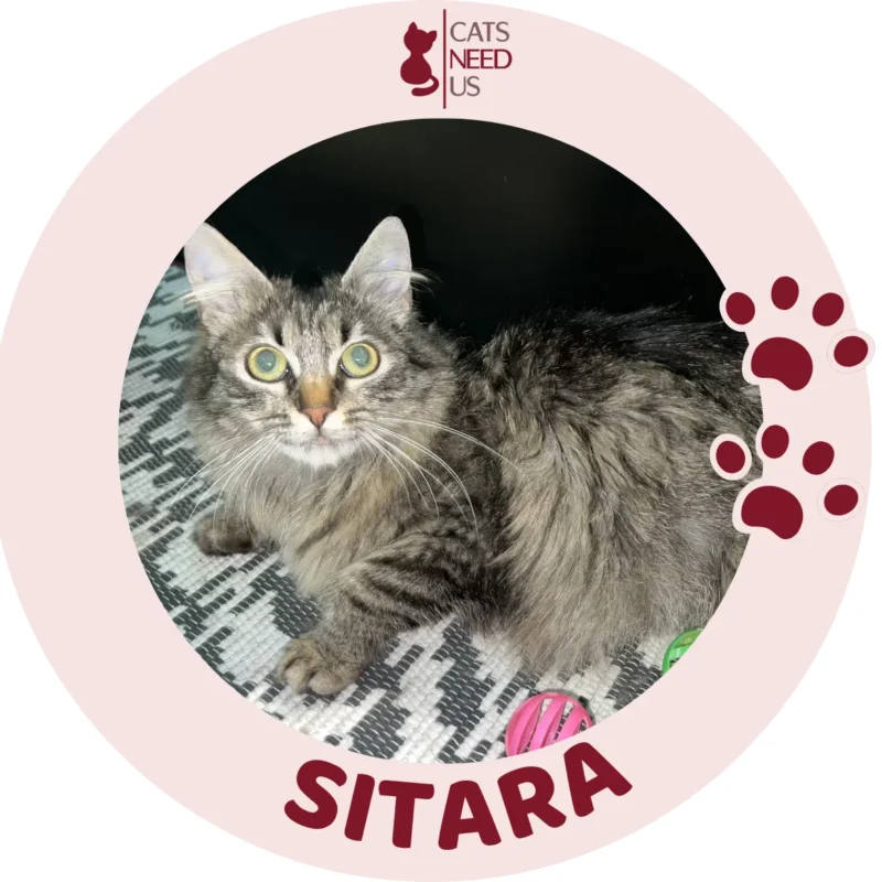 SITARA