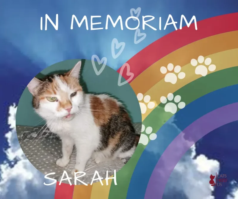 Sarah