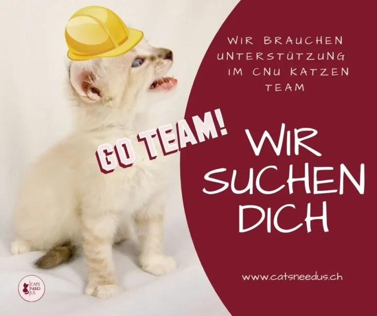Team